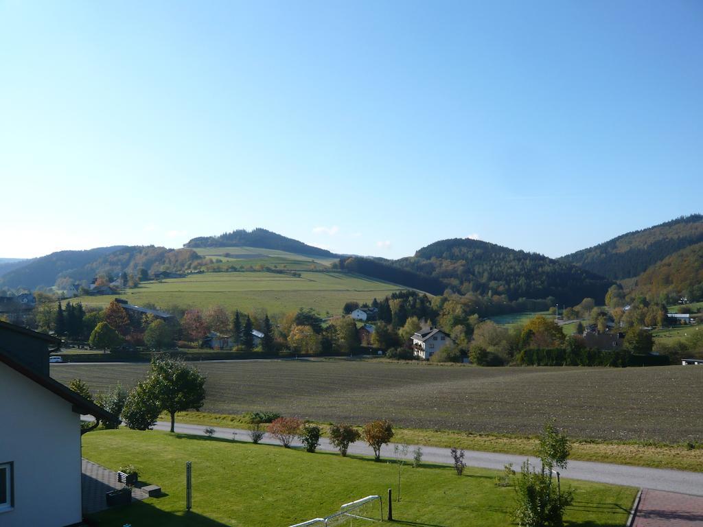 Villa Haus Talblick Willingen  Esterno foto