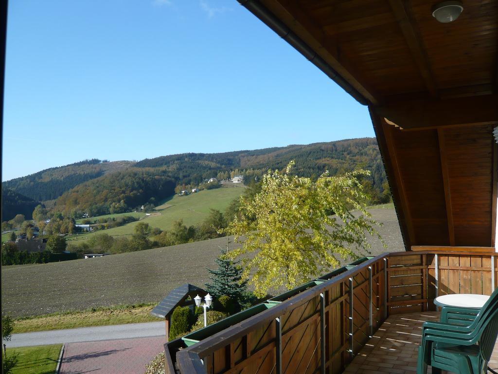Villa Haus Talblick Willingen  Esterno foto